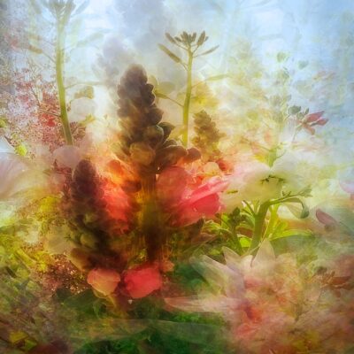 flower arrangement